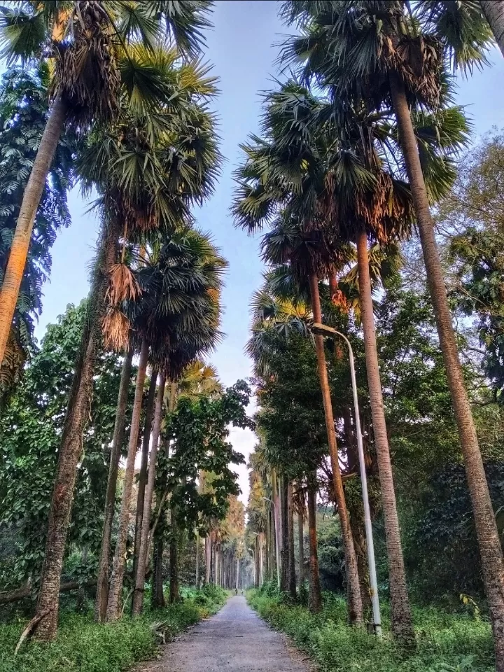 Photo of Acharya Jagadish Chandra Bose Indian Botanic Garden By Abhirup Saha