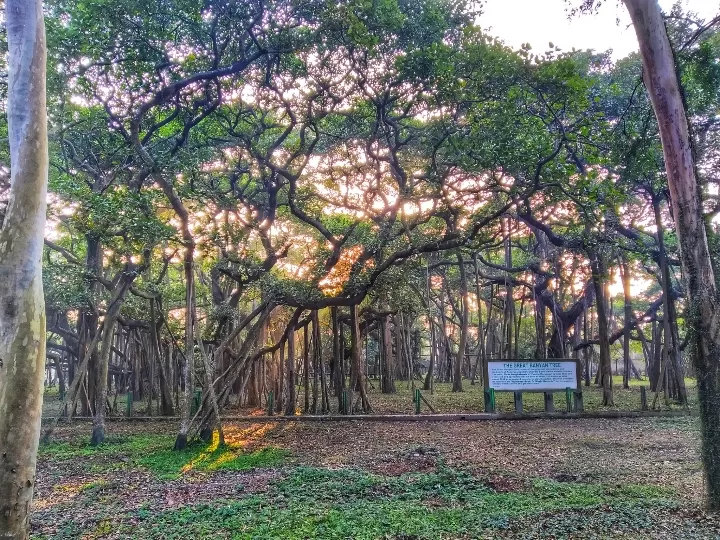 Photo of Acharya Jagadish Chandra Bose Indian Botanic Garden By Abhirup Saha