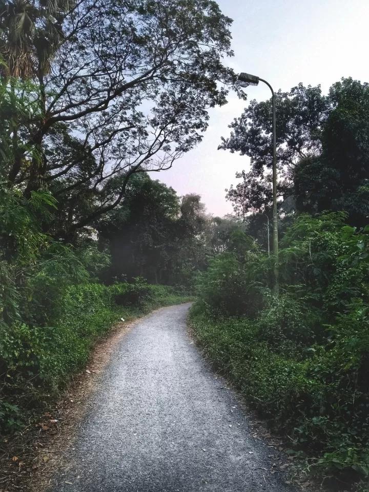 Photo of Acharya Jagadish Chandra Bose Indian Botanic Garden By Abhirup Saha