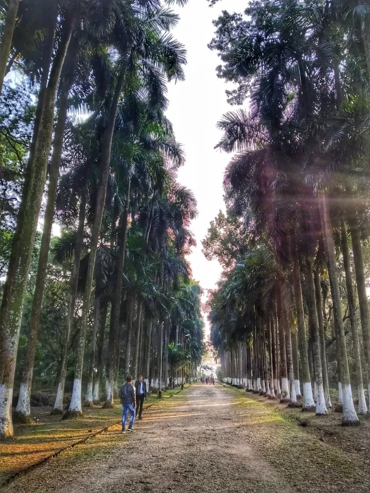 Photo of Acharya Jagadish Chandra Bose Indian Botanic Garden By Abhirup Saha