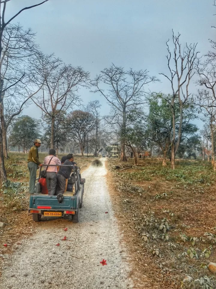 Photo of India By Abhirup Saha