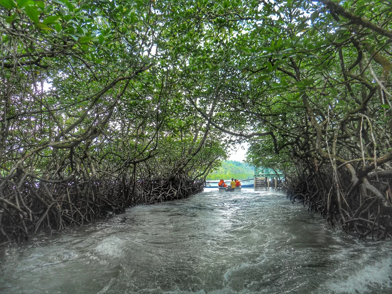 Photo of Andaman and Nicobar Islands By Abhirup Saha