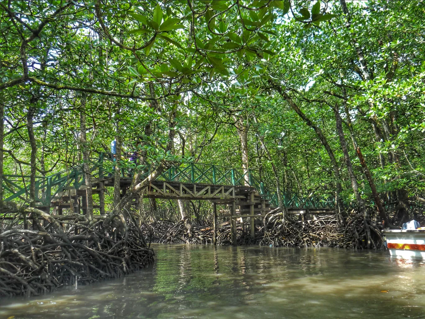 Photo of Andaman and Nicobar Islands By Abhirup Saha