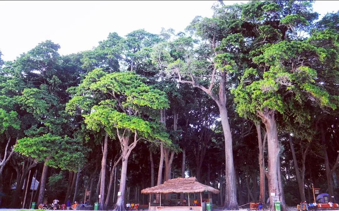 Photo of Andaman and Nicobar Islands By Abhirup Saha