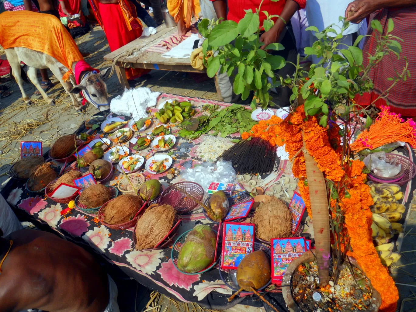 Photo of Gangasagar By Abhirup Saha