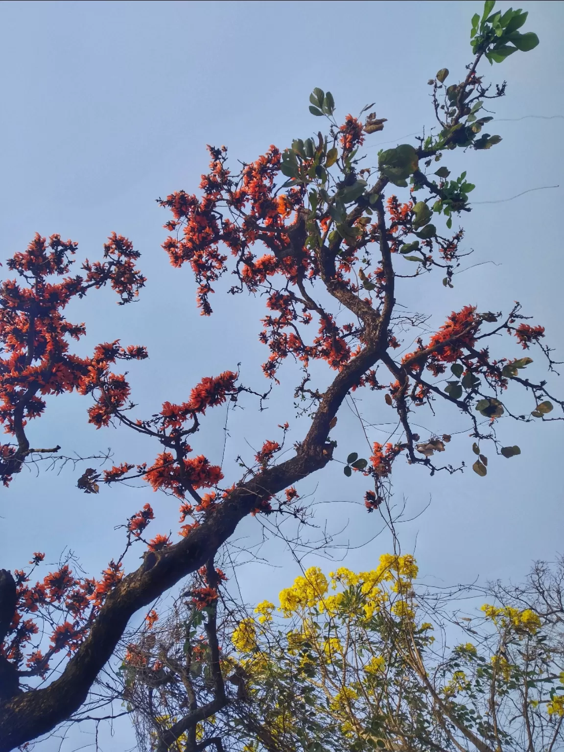 Photo of Bolpur By Abhirup Saha