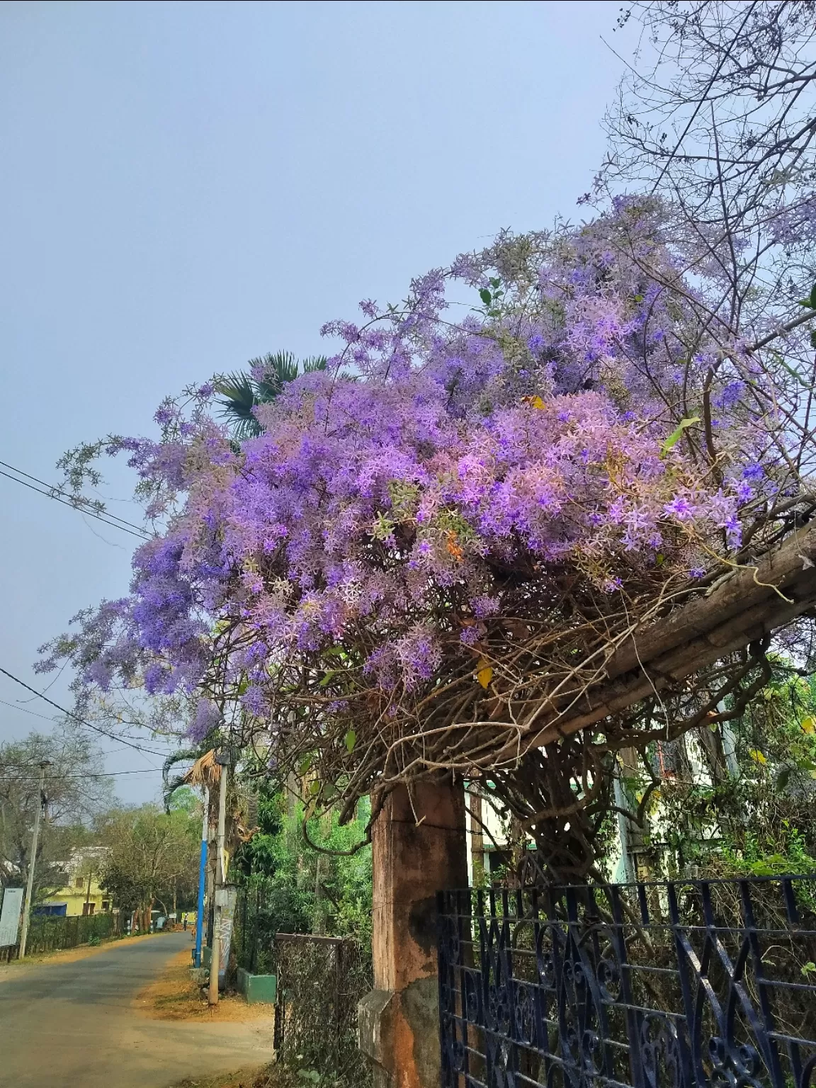 Photo of Bolpur By Abhirup Saha