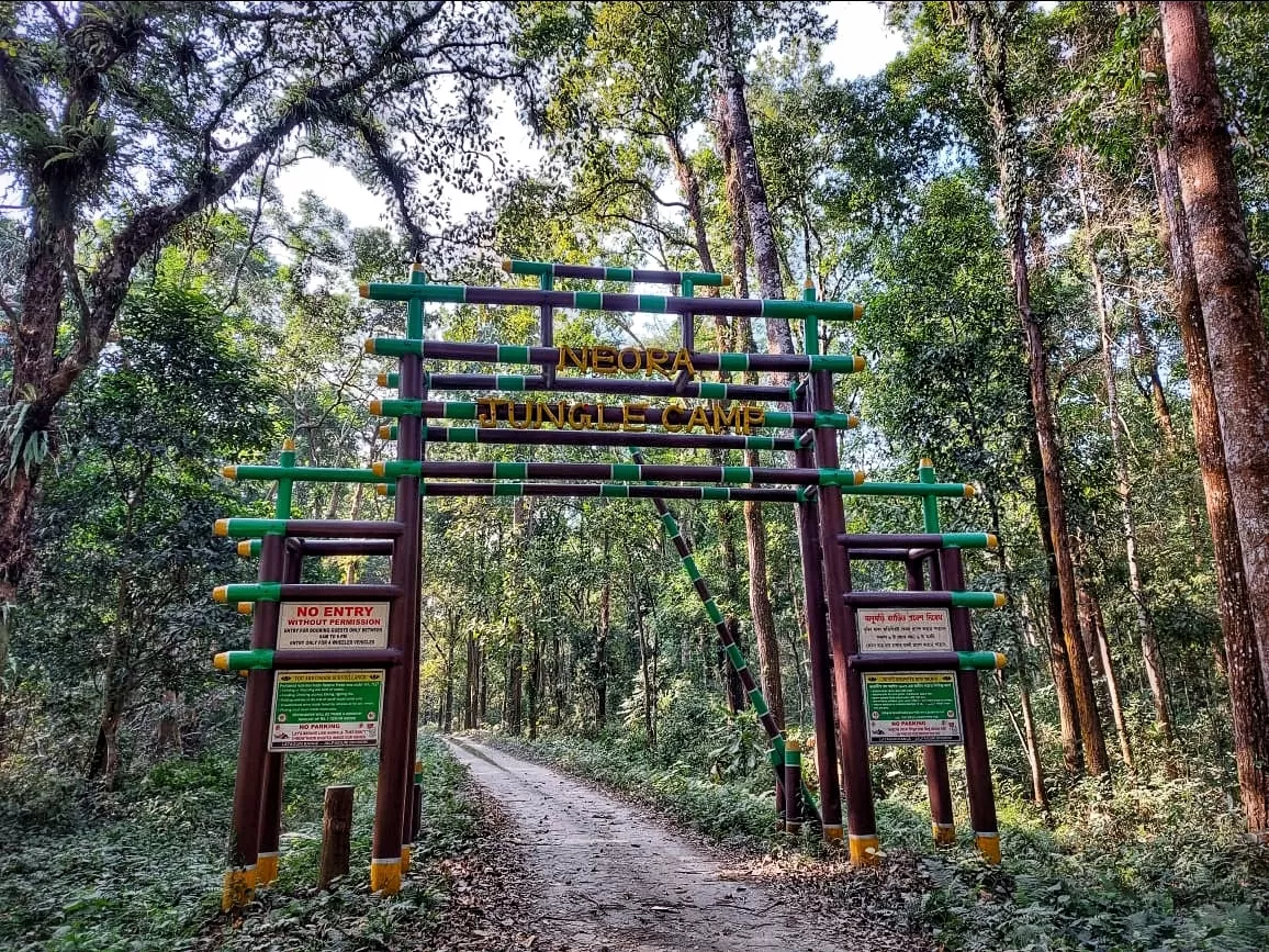 Photo of Gorumara National Park By Abhirup Saha