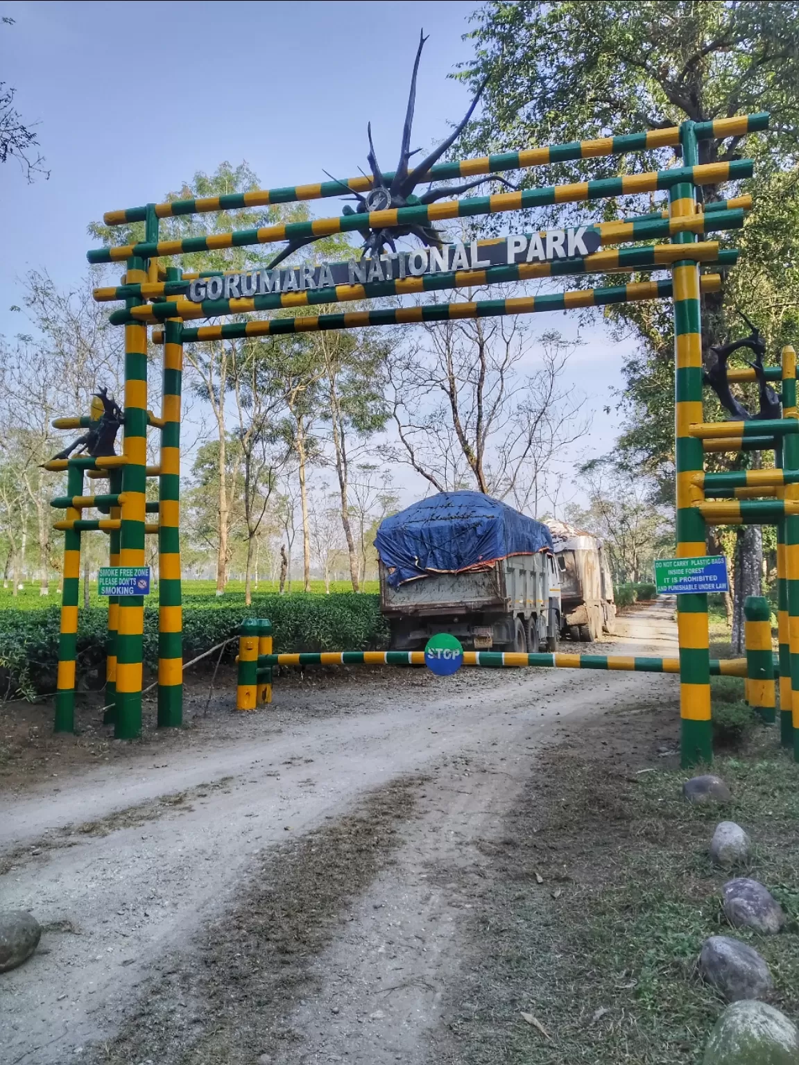 Photo of Gorumara National Park By Abhirup Saha