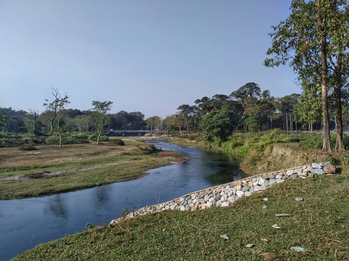 Photo of Chilapata Forest By Abhirup Saha