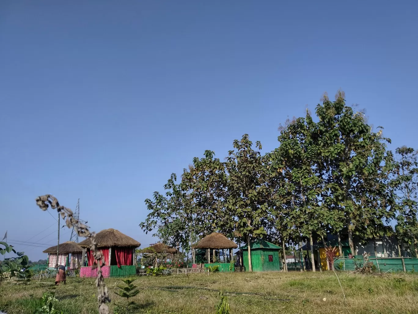 Photo of Chilapata Forest By Abhirup Saha