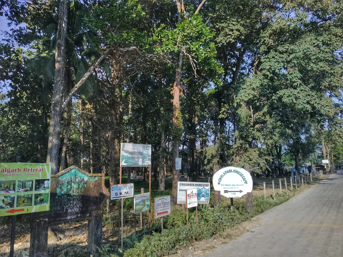 Photo of Chilapata Forest By Abhirup Saha