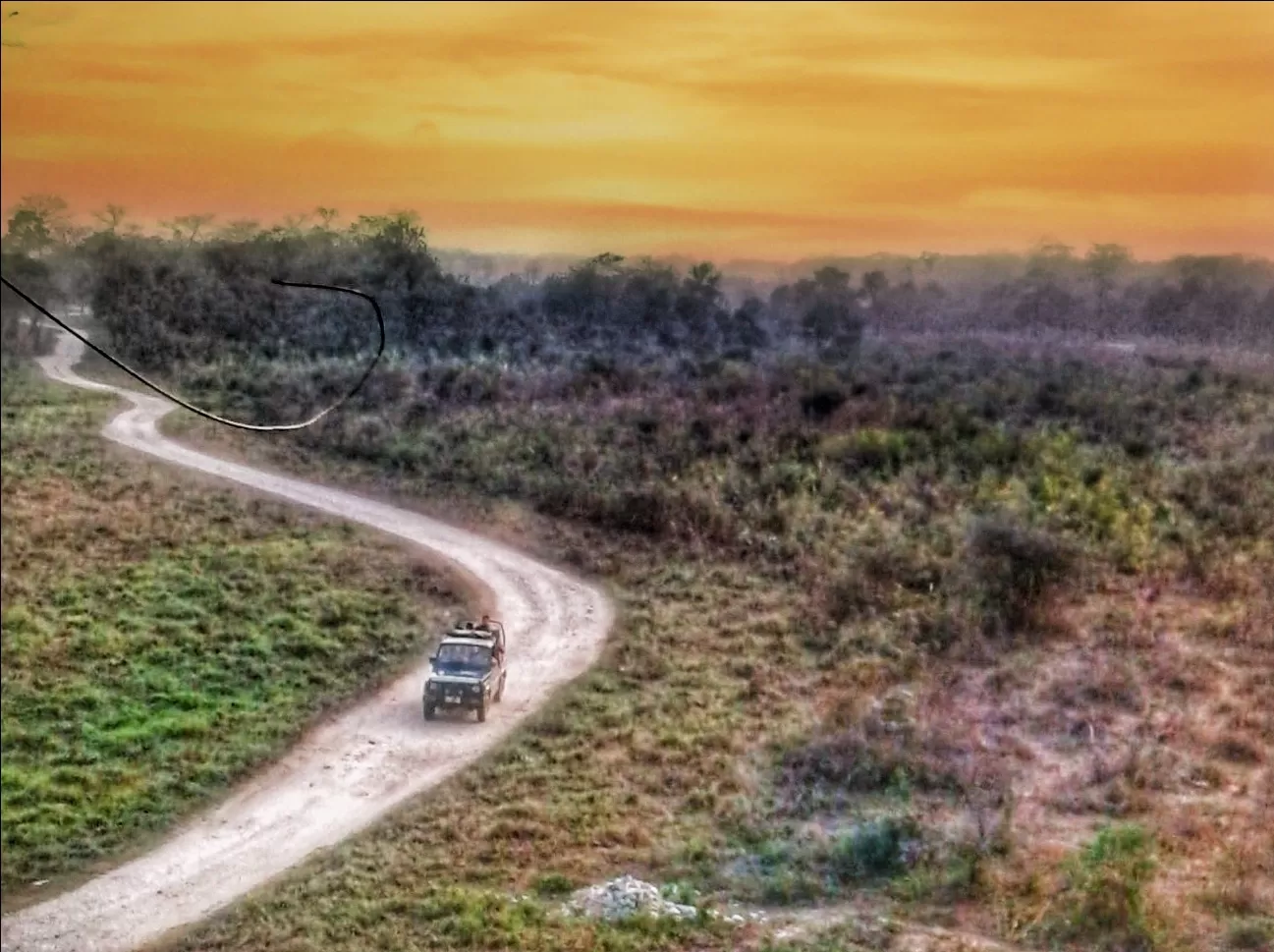 Photo of Gorumara National Park By Abhirup Saha