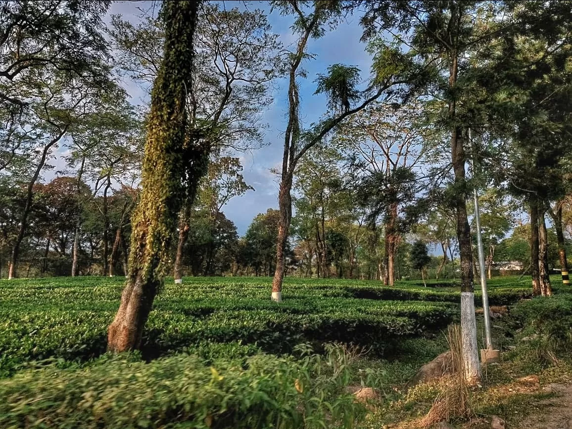 Photo of Murti By Abhirup Saha