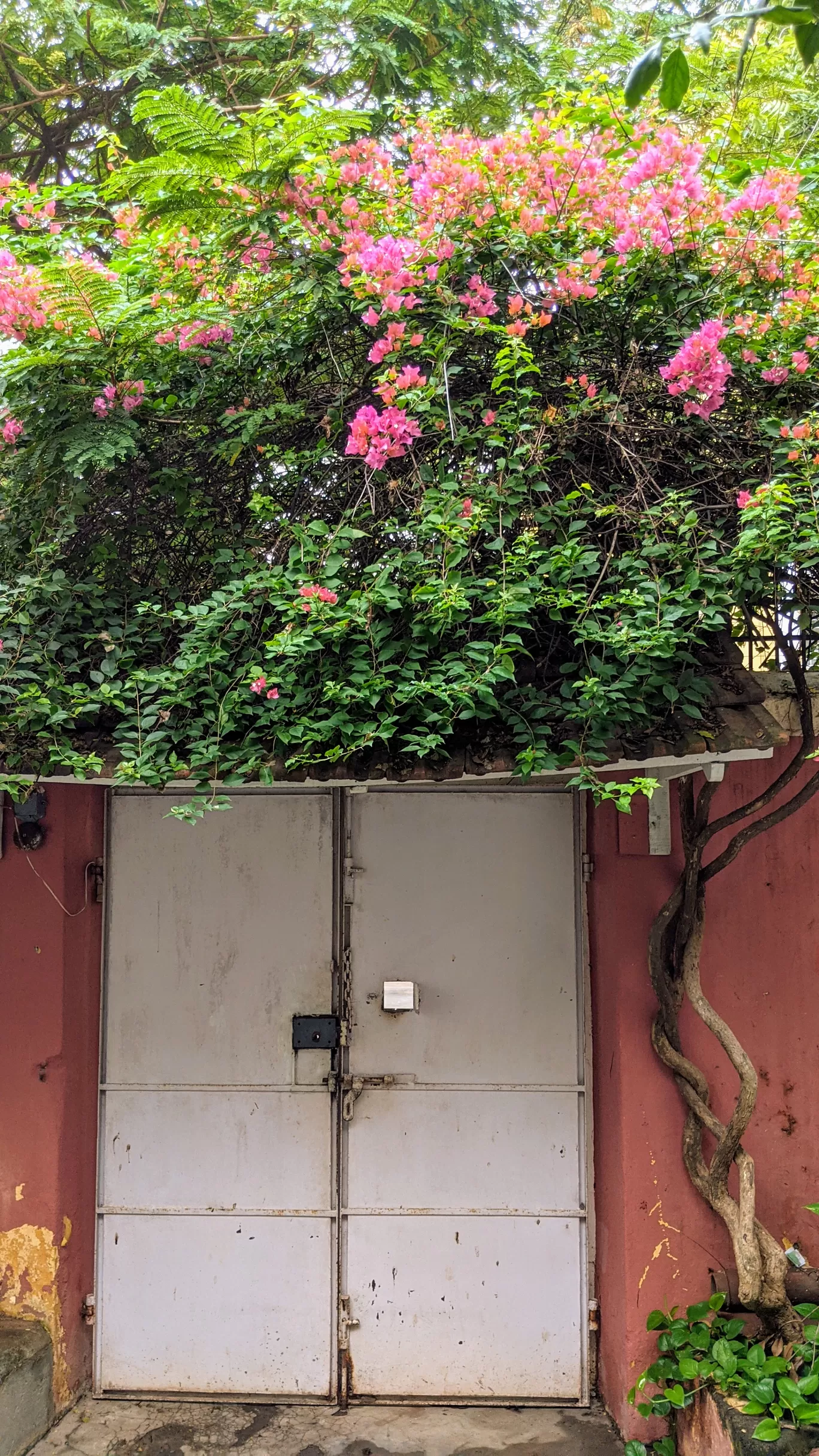 Photo of Puducherry By Sushantika