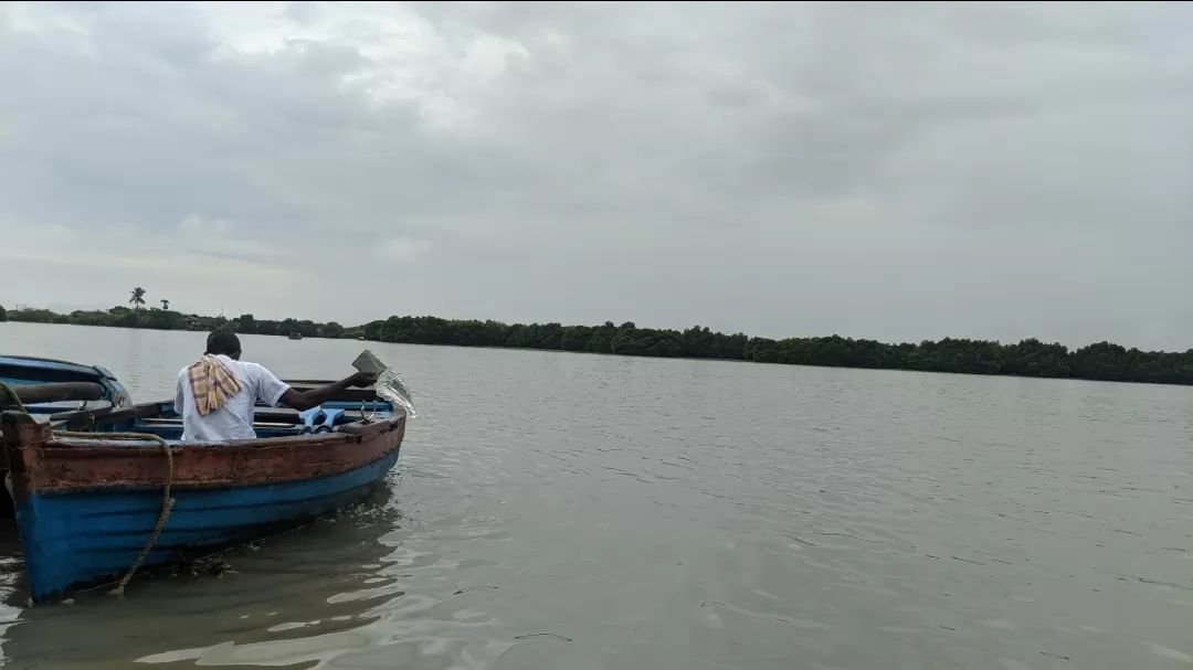 Photo of Pichavaram Mangrove Forest By Sushantika