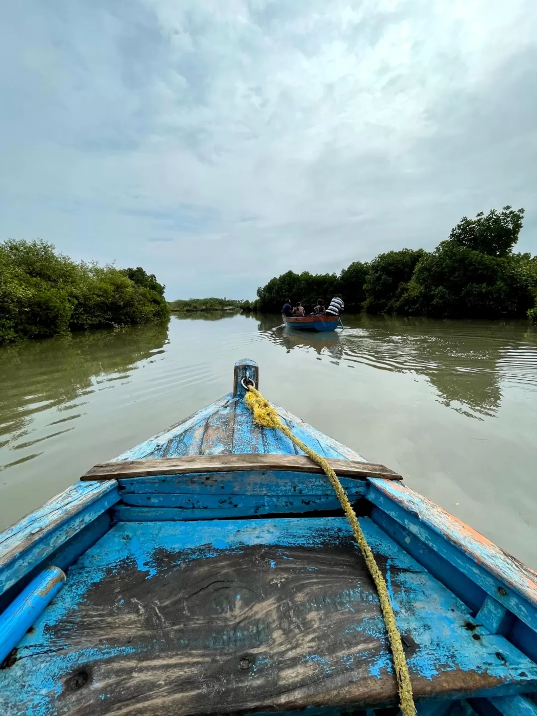 Photo of Pichavaram Mangrove Forest By Sushantika