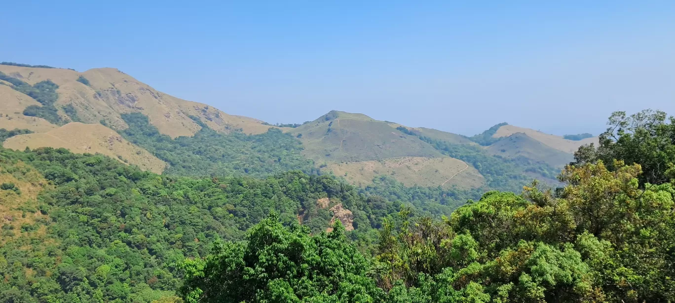 Photo of Wayanad By Sushantika