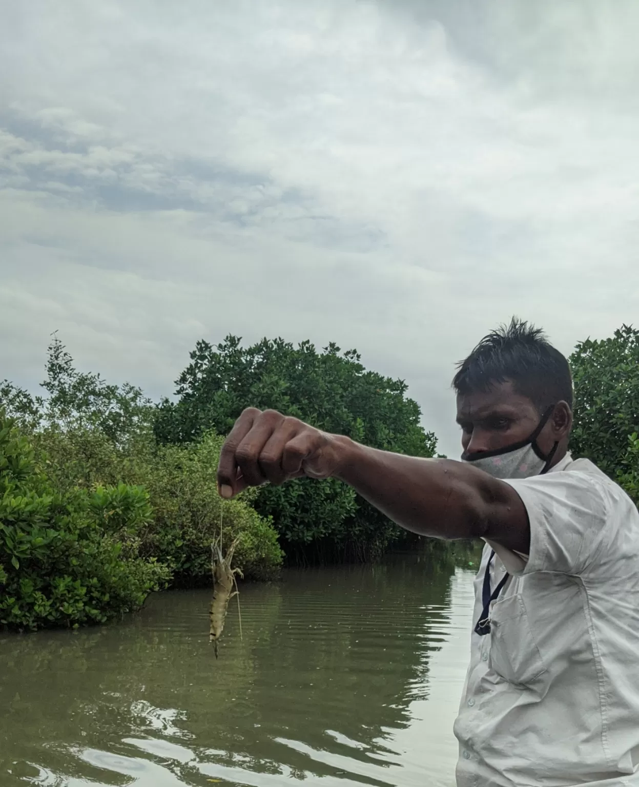 Photo of Pichavaram By Sushantika