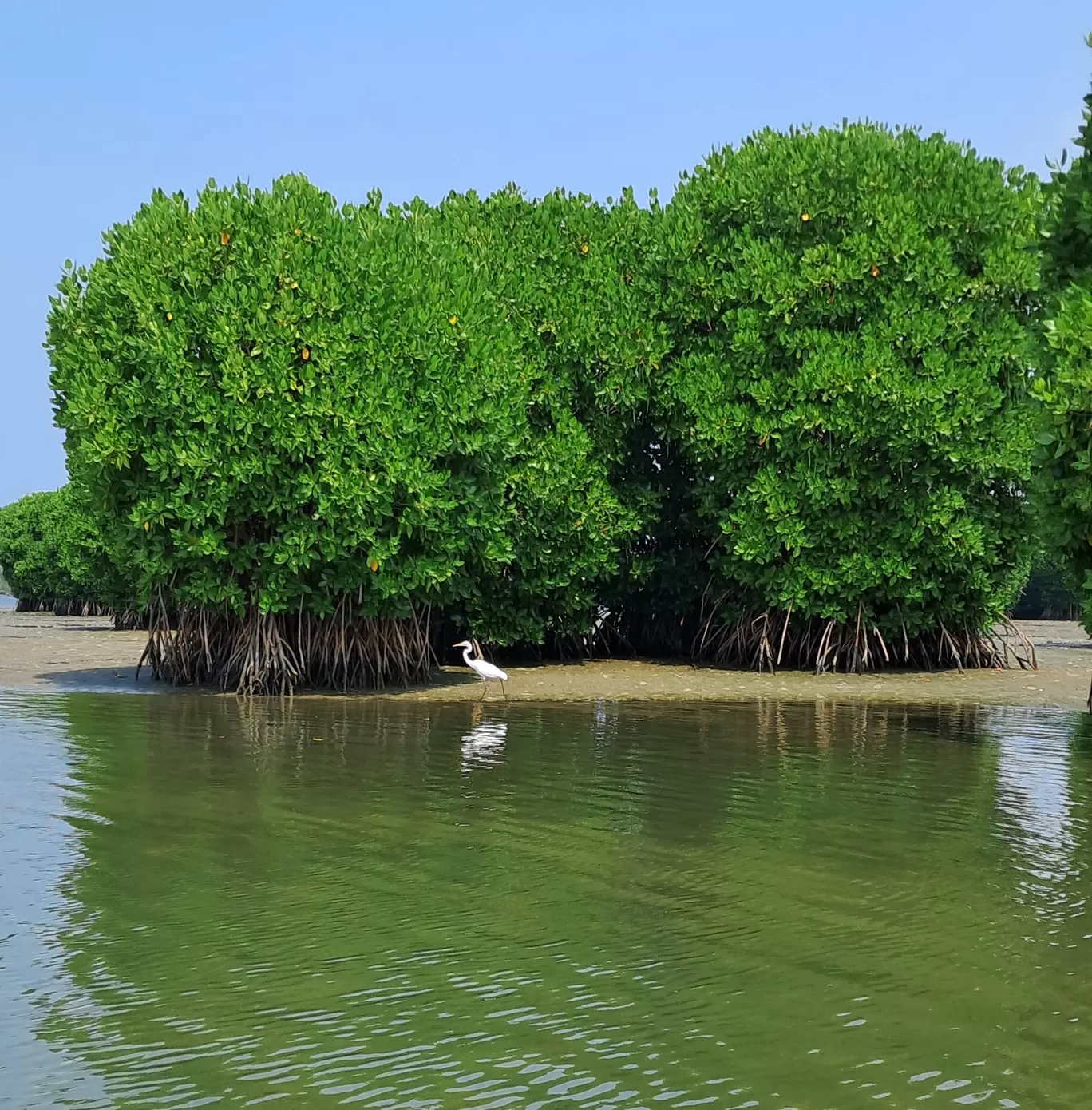 Photo of Kannur By Sushantika