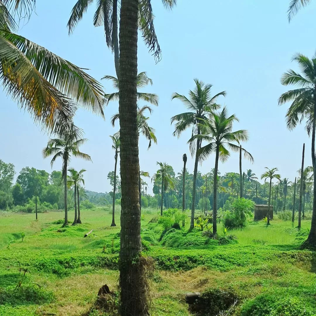 Photo of Bekal By Sushantika