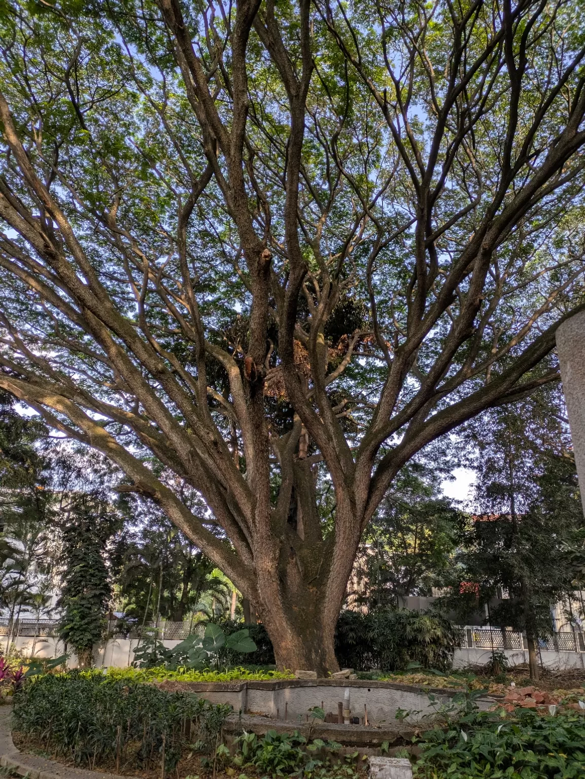 Photo of National Gallery of Modern Arts (Bengaluru) By Sushantika