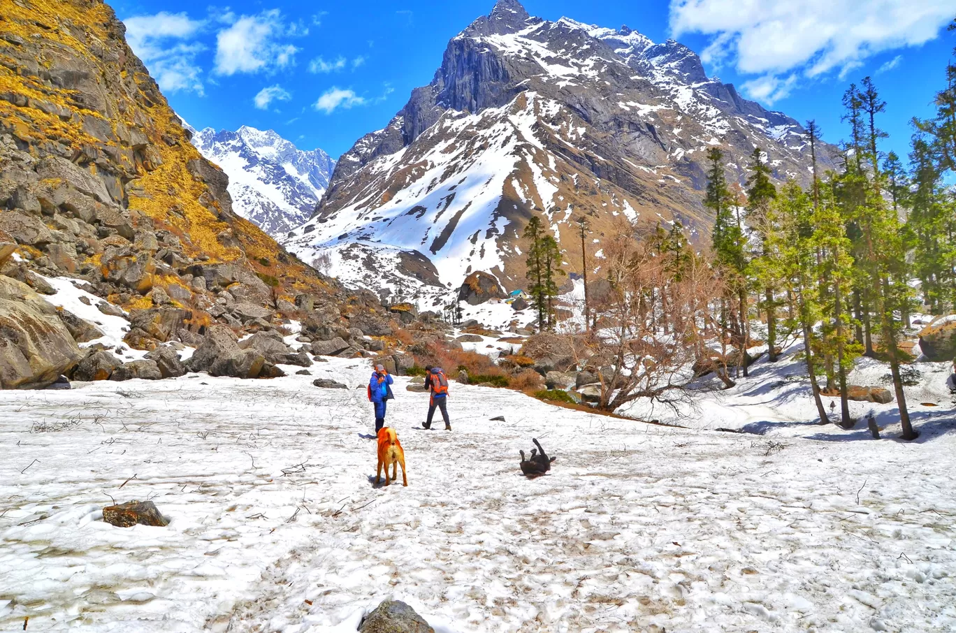 Photo of Har Ki Doon Trek By IndianTreks