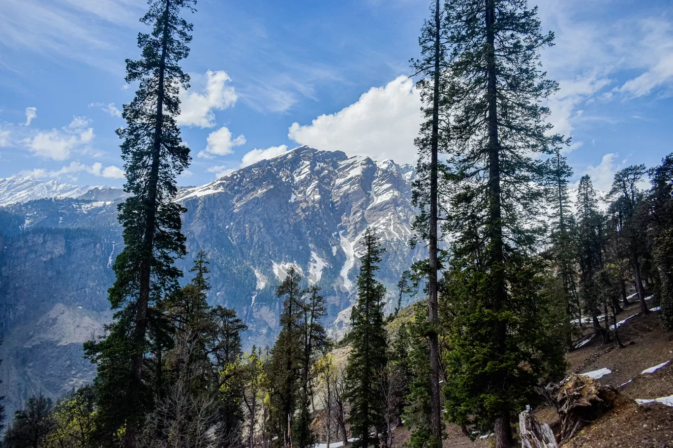 Photo of Manali By bhargav gondaliya