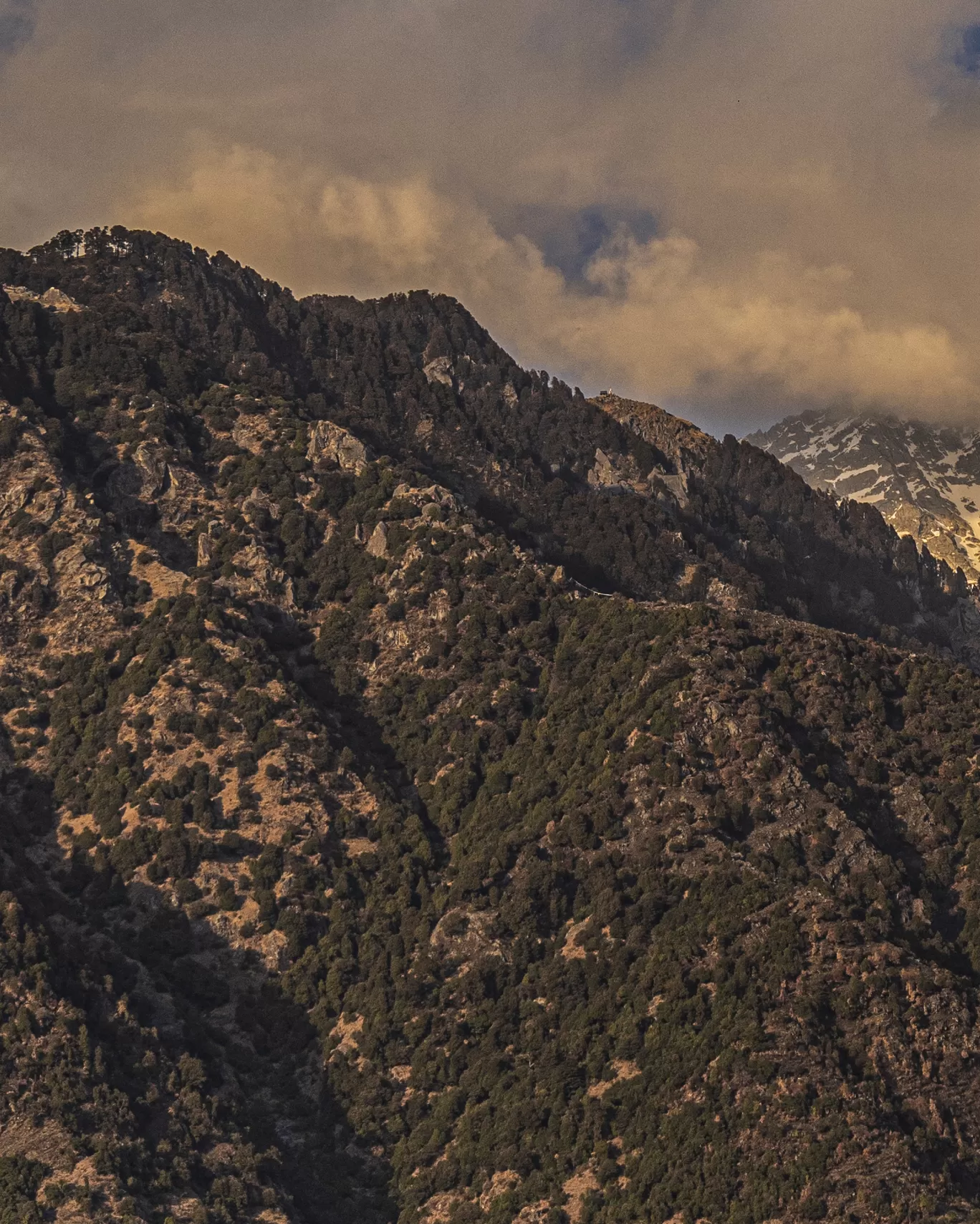 Photo of Himachal Pradesh By rudrakshaa chawla