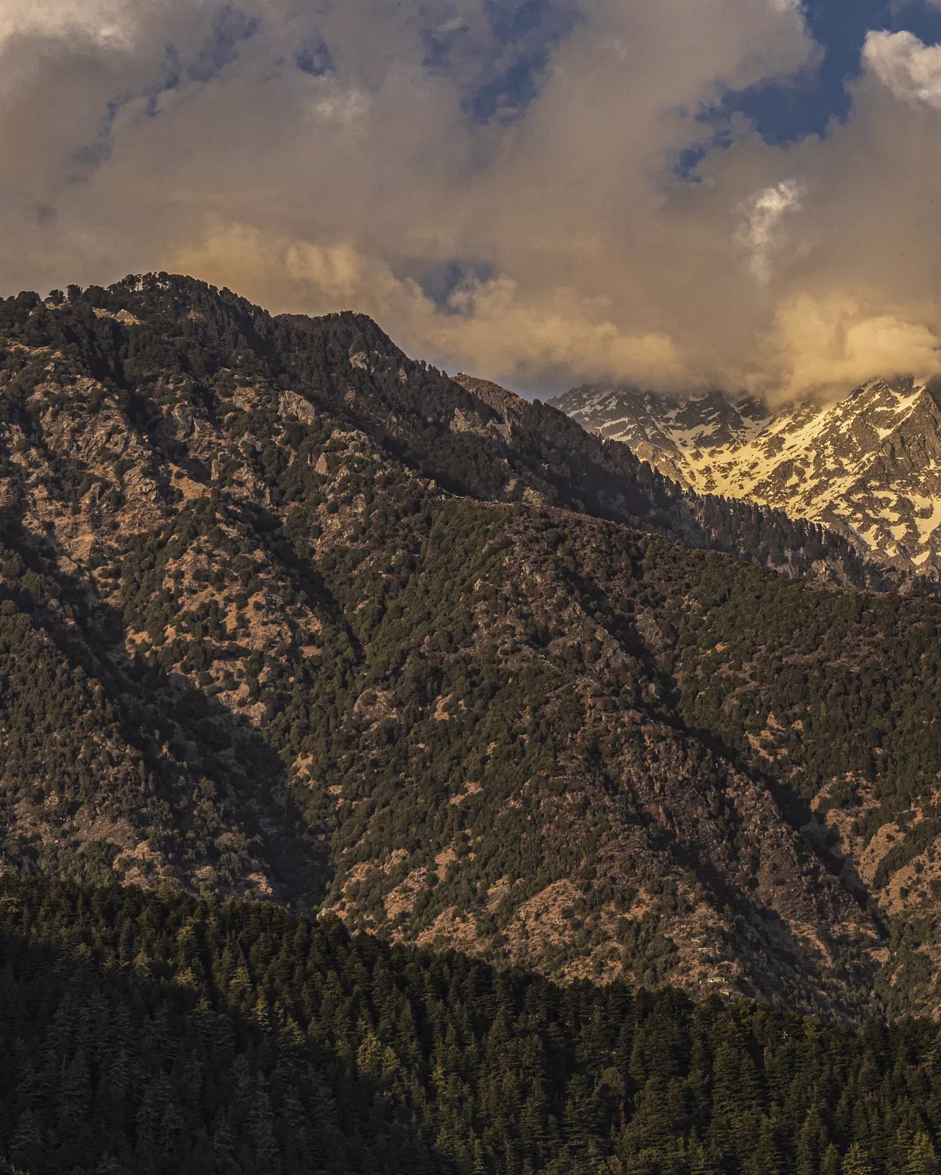 Photo of Himachal Pradesh By rudrakshaa chawla