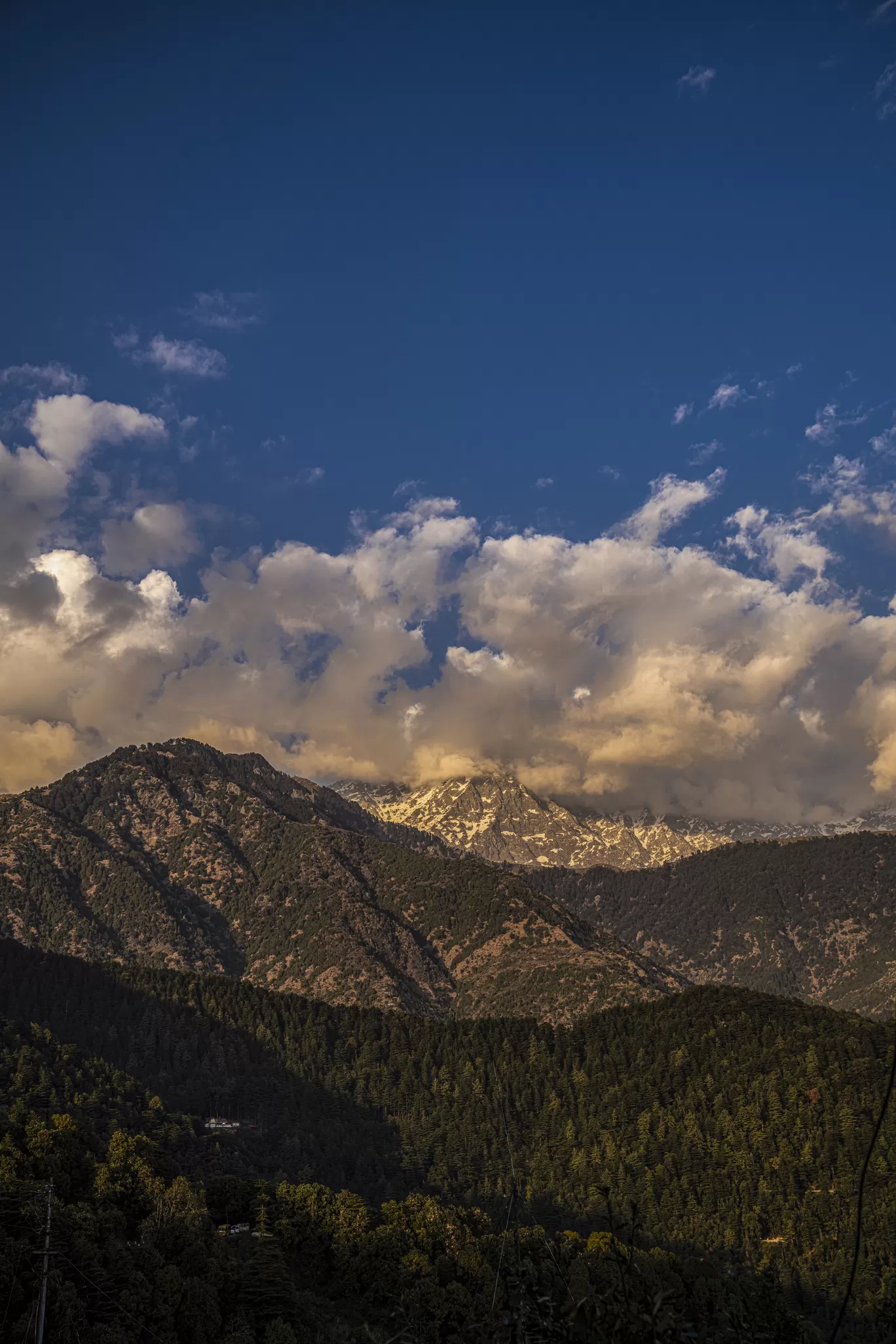 Photo of Himachal Pradesh By rudrakshaa chawla