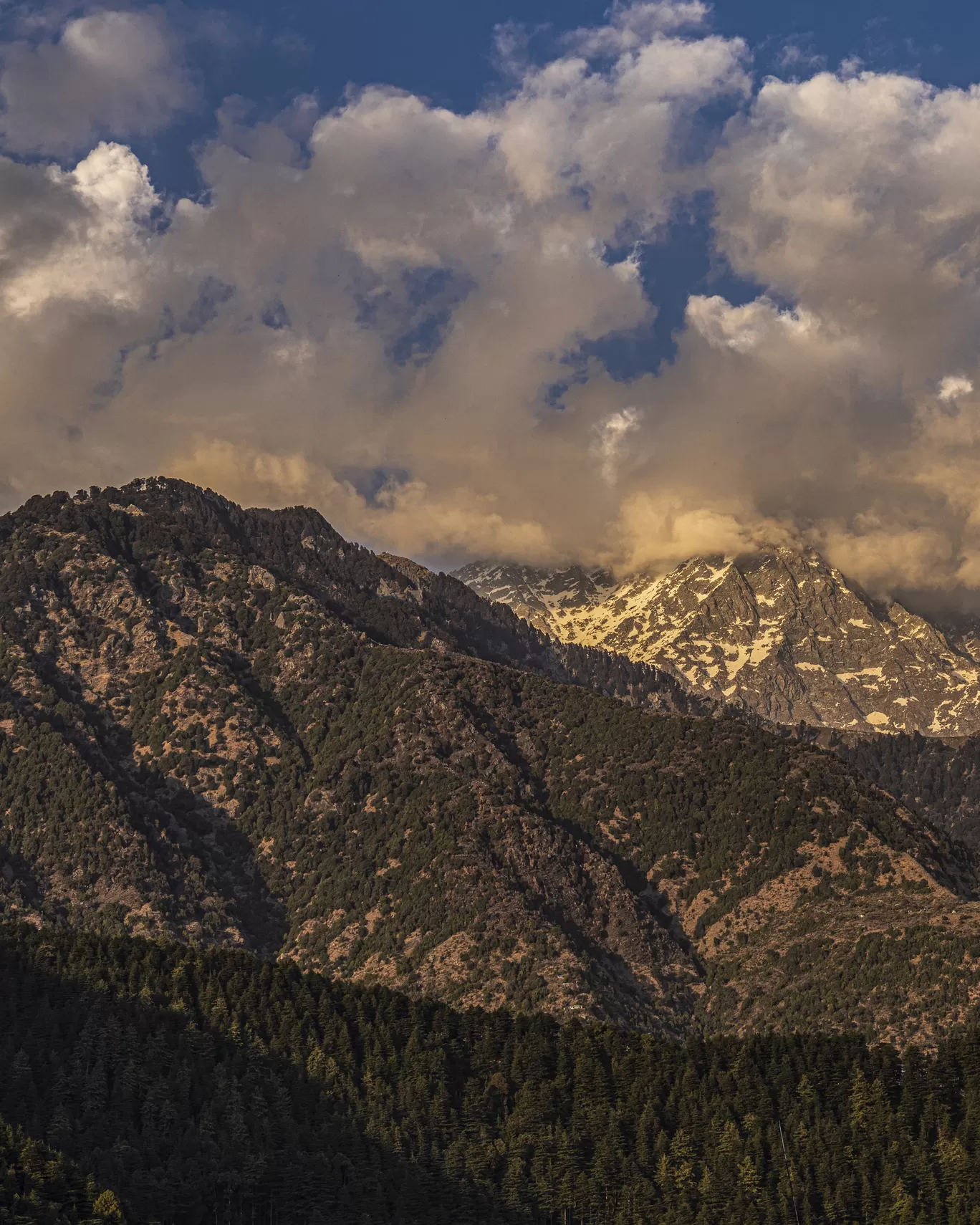 Photo of Himachal Pradesh By rudrakshaa chawla
