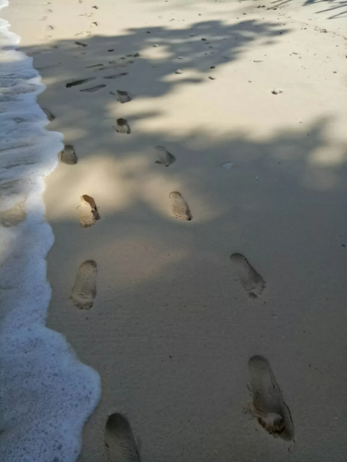 Photo of Andaman and Nicobar Islands By Alpha Sierra