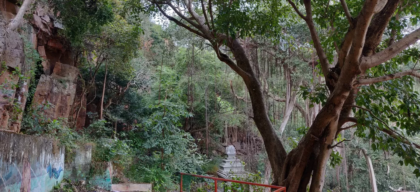 Photo of Srisailam By Vikas Dubey