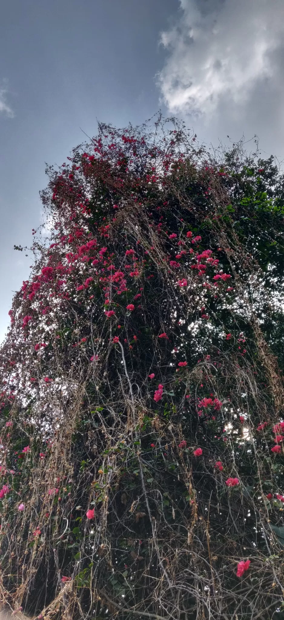 Photo of Srisailam By Vikas Dubey
