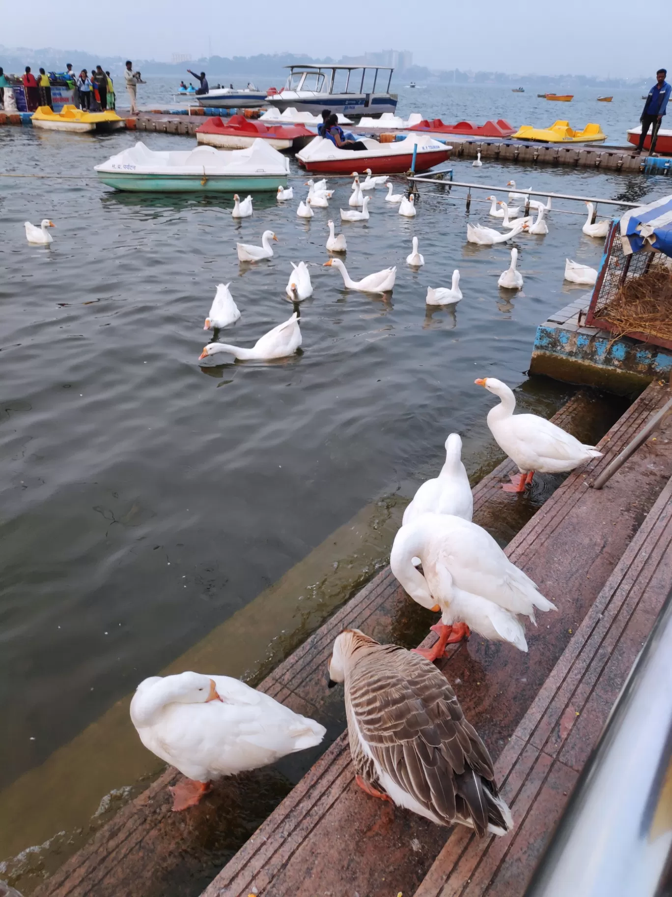 Photo of Upper Lake By Life11 by Somali K Chakrabarti