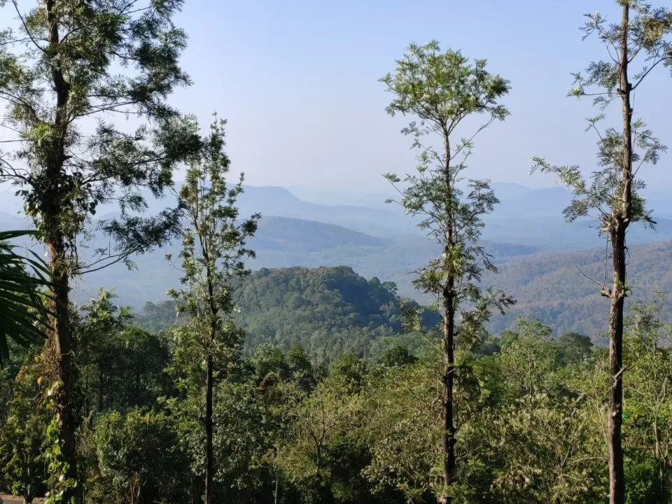 Photo of Ponmudi Hill Station By Anurag Sathyan