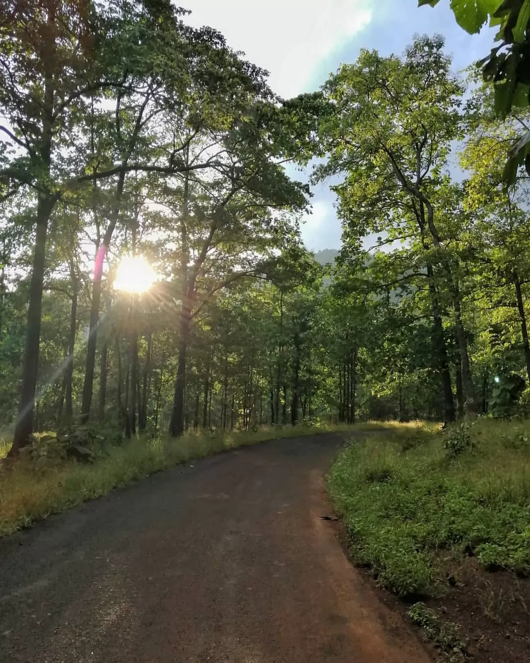 Photo of Melghat Tiger Reserve By Dr Kunal Gondhane