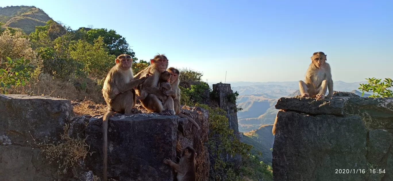 Photo of Purandar fort By yogesh takawane (Yogi)