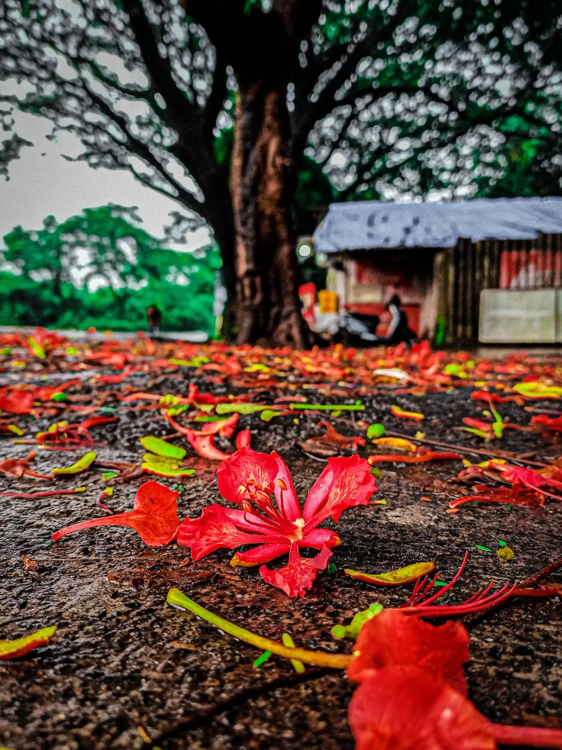 Photo of Beach House Madh Island By yogesh takawane (Yogi)