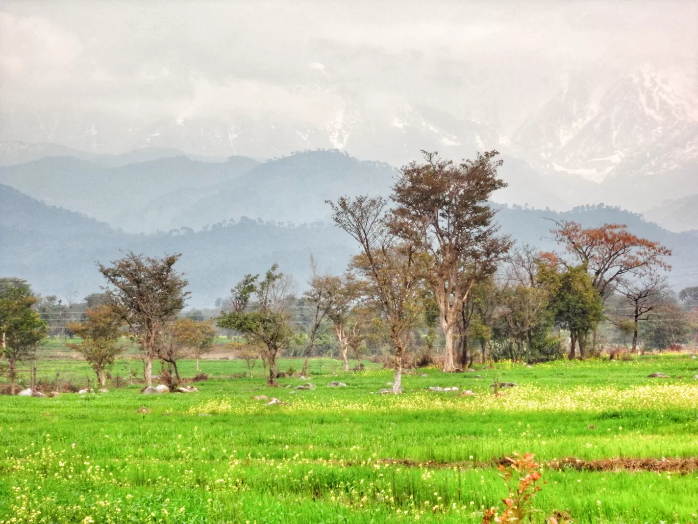 Photo of Baijnath By Ekta Vasundhra