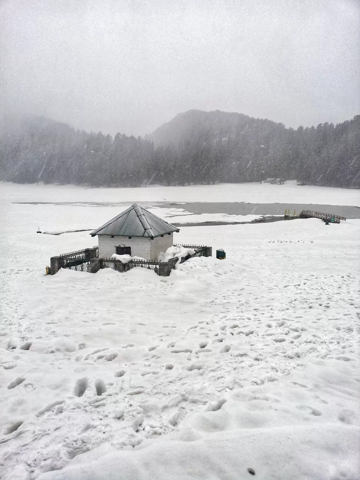 Photo of Khajjiar By Ekta Vasundhra