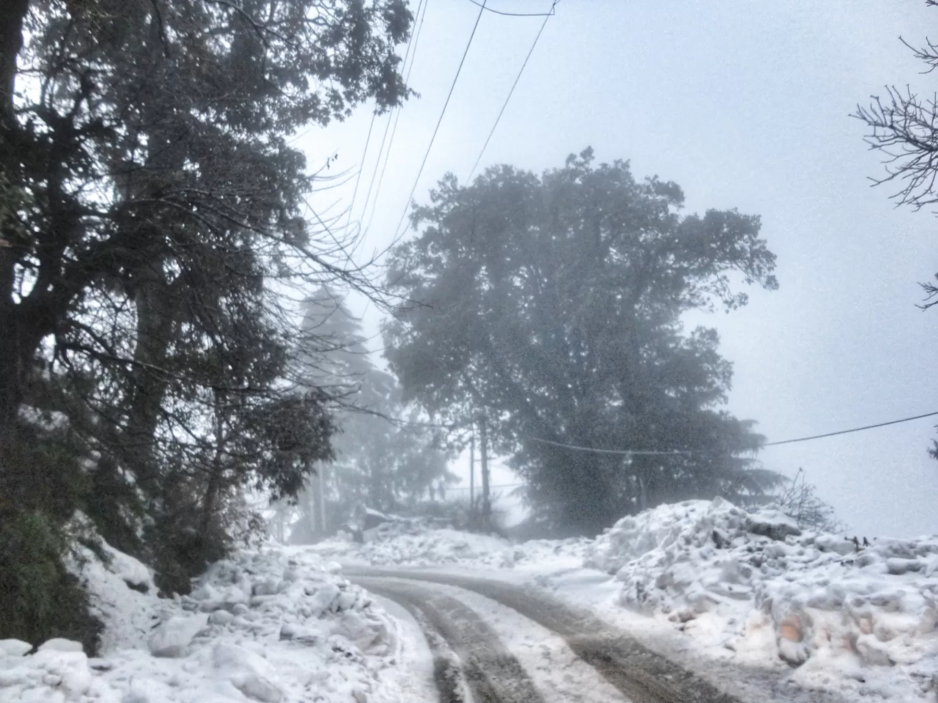 Photo of Khajjiar By Ekta Vasundhra