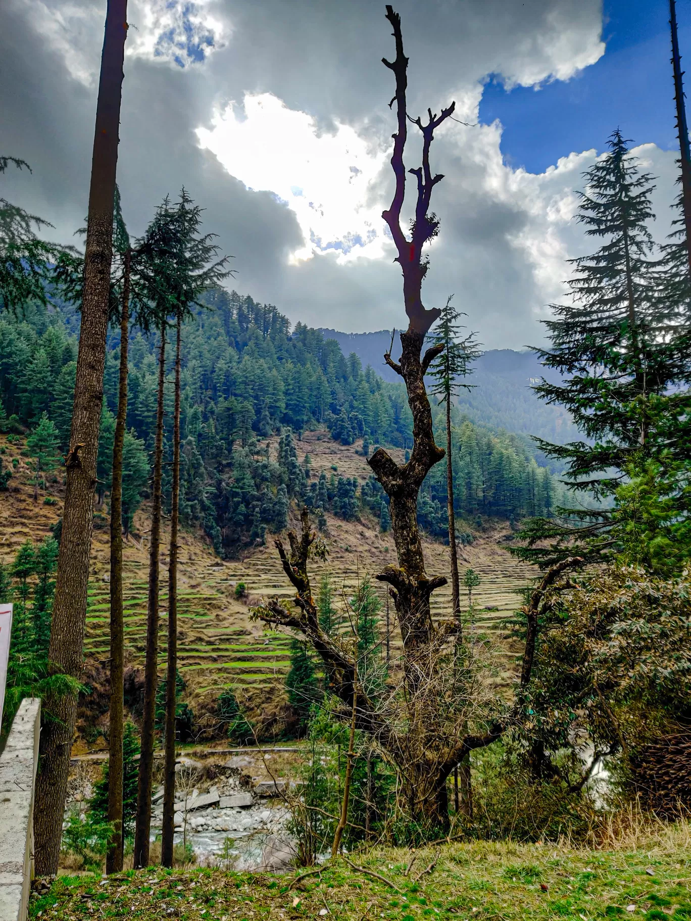 Photo of Himachal Pradesh By Sanvi Sinha