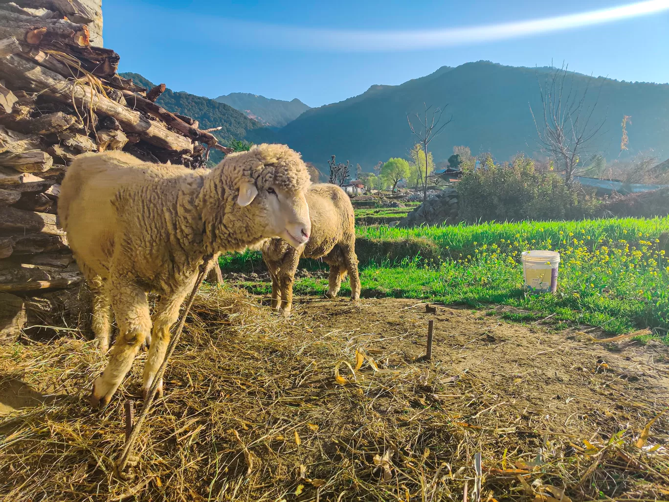 Photo of Himachal Pradesh By Sanvi Sinha
