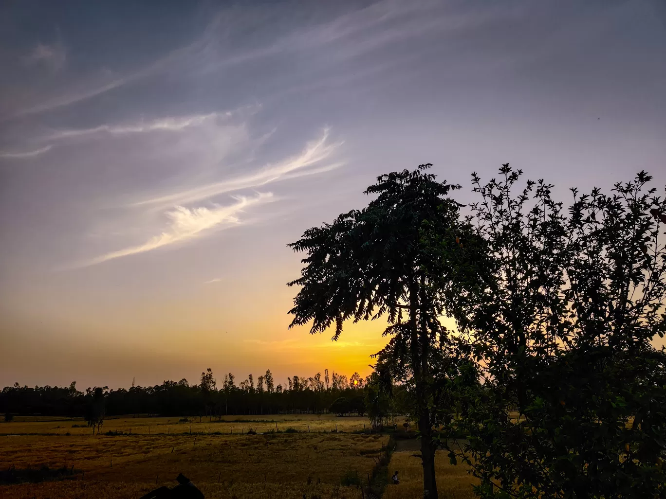 Photo of Heerpur By Sanvi Sinha