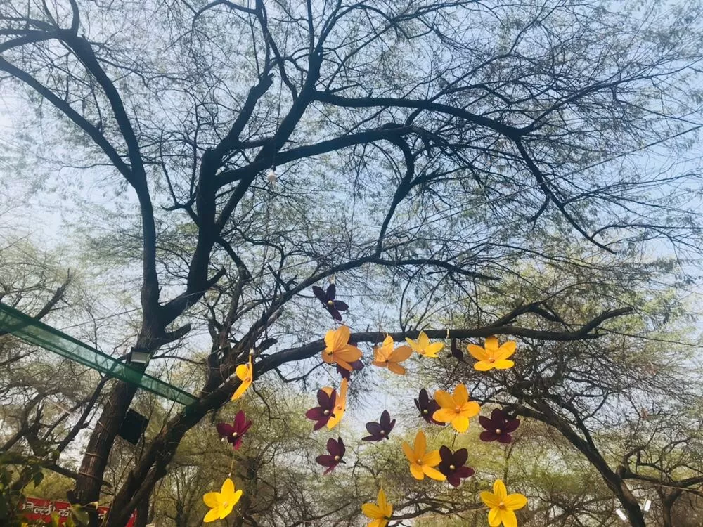 Photo of Faridabad By Anit Das