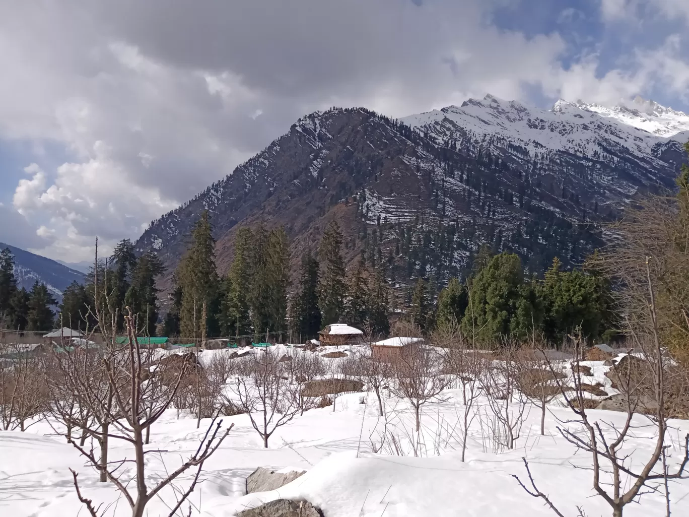 Photo of Kheerganga Trek By Avnish Jha