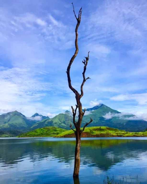 Photo of Periyar lake kerala By Priyanka 