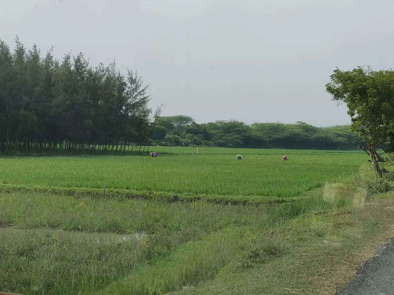 Photo of Puducherry By agnes matilda